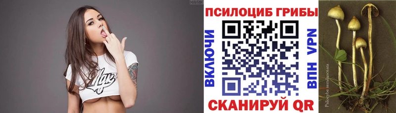 Купить закладки  Солигалич  Псилоцибиновые грибы Magic Shrooms 